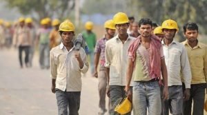 Indian Labour Force