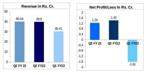 Delton Cables Financial Results Q2 FY22 vs Q2 FY21 vs Q1 FY22