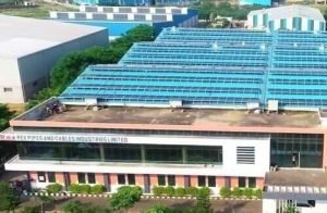 Rex factory