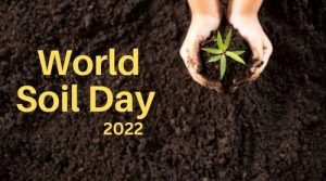 World Soil Day