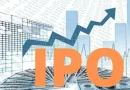 Initial Public Offering (IPO)