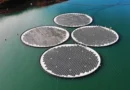 Tata Power & Norway’s Ocean Sun Partner for Floating Solar Solutions